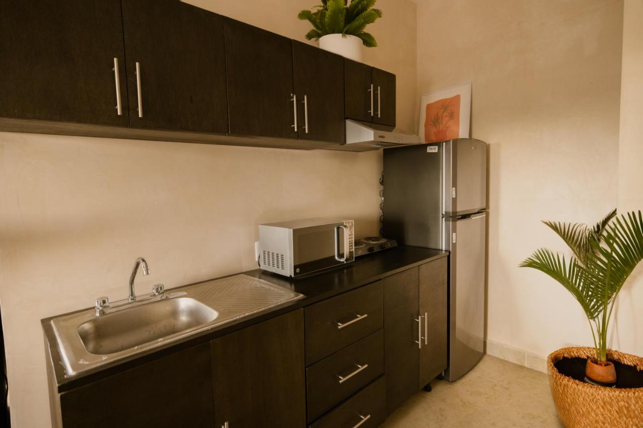Superior King Suite