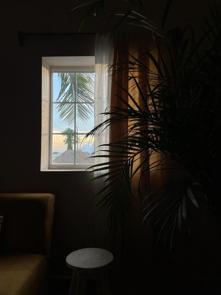 Superior King Suite