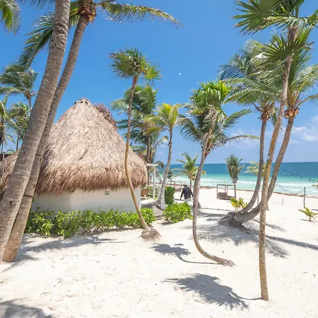 Los Amigos Beach Hotel Boutique-2