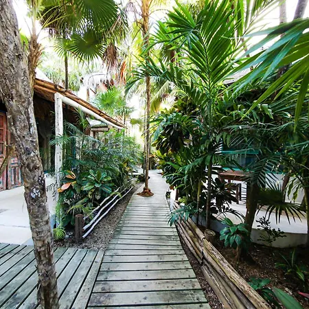 Hotel Cormoran Tulum & Cenote-3