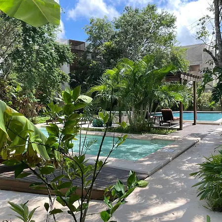 Panacea Condo Tulum-3