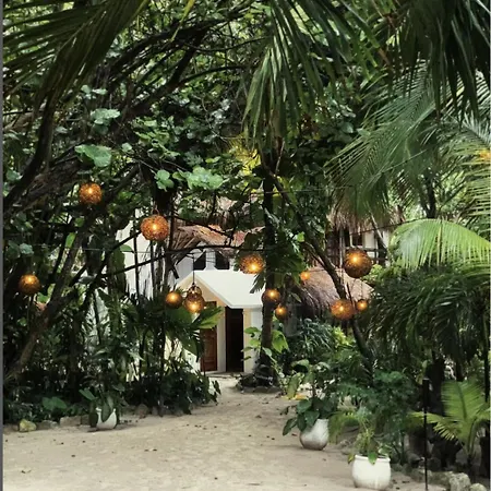Casa Violeta-2