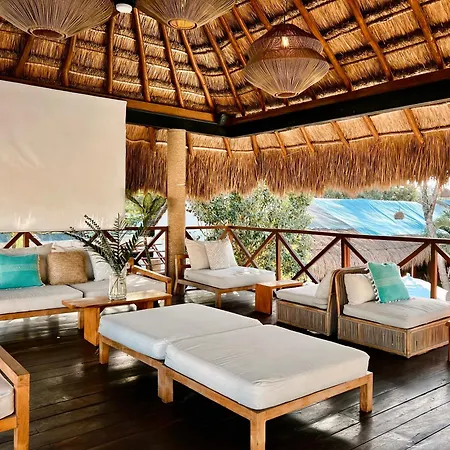 Mimosa Tulum-3