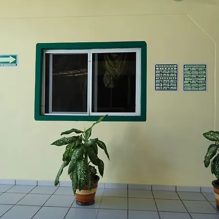 Oyo Hotel Palma Real-2