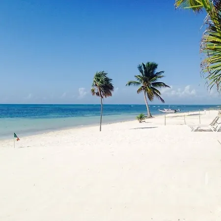 Pavoreal Beach Resort Tulum-3