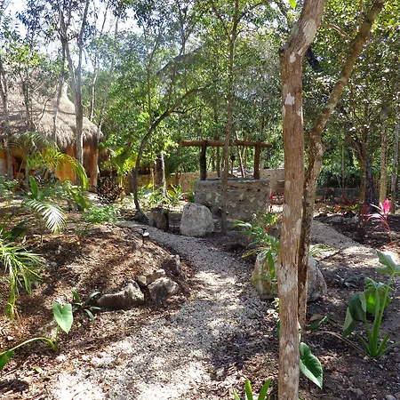 Casa Mango-2
