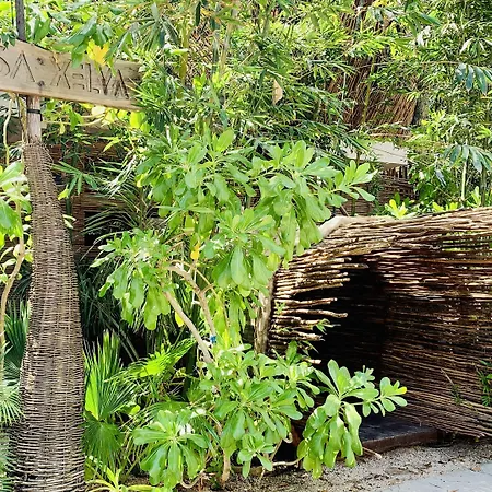 Orchid House Tulum Jungle-2